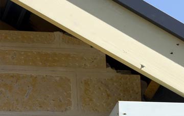 soffit repair Fala