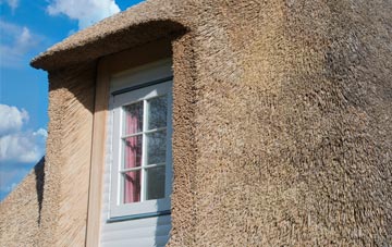 Fala thatch roof disadvantages