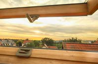 rated Fala roof window companies